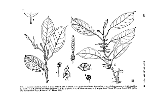  no thumbnail available