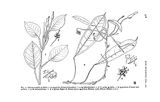  no thumbnail available