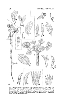  no thumbnail available