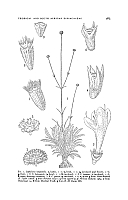  no thumbnail available