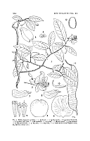  no thumbnail available