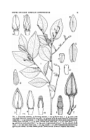  no thumbnail available