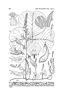  no thumbnail available