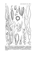  no thumbnail available