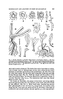  no thumbnail available