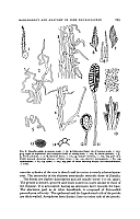  no thumbnail available