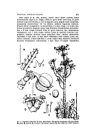  no thumbnail available