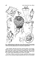  no thumbnail available