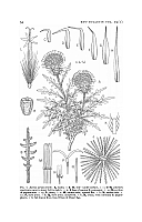  no thumbnail available