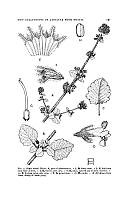  no thumbnail available