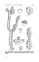  no thumbnail available