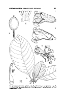  no thumbnail available