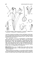  no thumbnail available