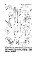  no thumbnail available