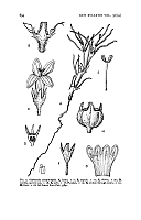  no thumbnail available