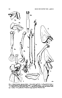  no thumbnail available