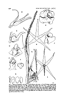  no thumbnail available