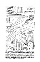  no thumbnail available