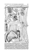  no thumbnail available