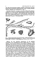  no thumbnail available