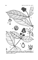  no thumbnail available