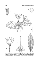  no thumbnail available