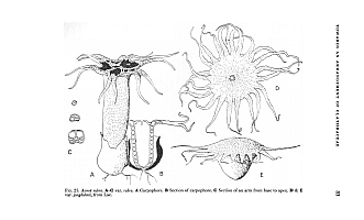  no thumbnail available