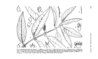  no thumbnail available