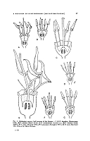  no thumbnail available