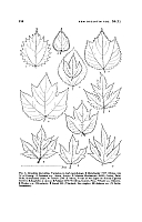  no thumbnail available