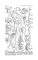  no thumbnail available