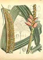  no thumbnail available