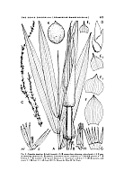  no thumbnail available