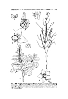  no thumbnail available