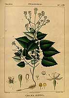  no thumbnail available