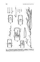  no thumbnail available