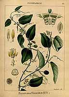  no thumbnail available