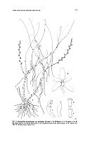  no thumbnail available