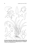  no thumbnail available