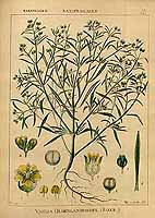  no thumbnail available