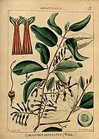  no thumbnail available