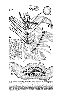  no thumbnail available