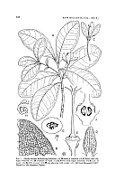  no thumbnail available