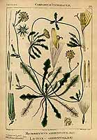  no thumbnail available