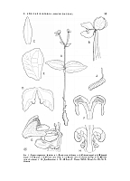  no thumbnail available