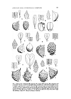  no thumbnail available