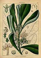  no thumbnail available