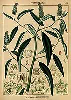  no thumbnail available