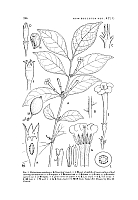  no thumbnail available