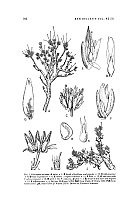  no thumbnail available